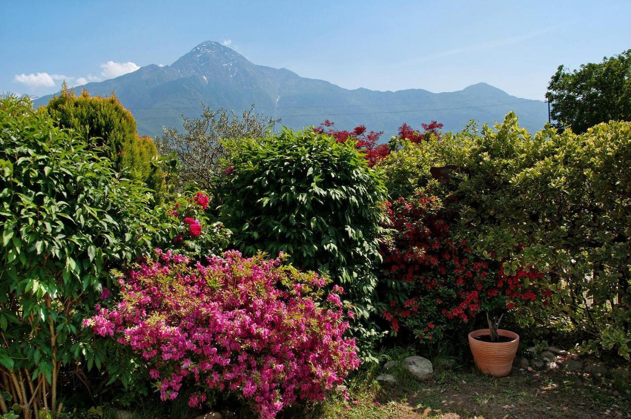 Casa Vacanze Al Boschetto Poncetta Bagian luar foto